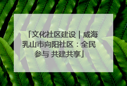 文化社区建设｜威海乳山市向阳社区：全民参与 共建共享
