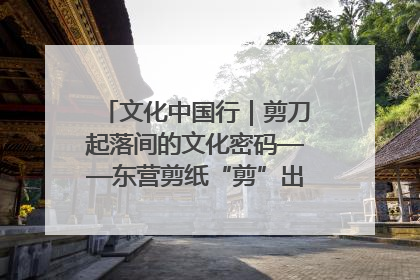 文化中国行｜剪刀起落间的文化密码——东营剪纸“剪”出非遗传承与现代生活的融合之道