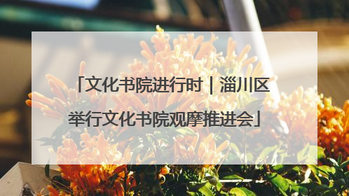 文化书院进行时｜淄川区举行文化书院观摩推进会