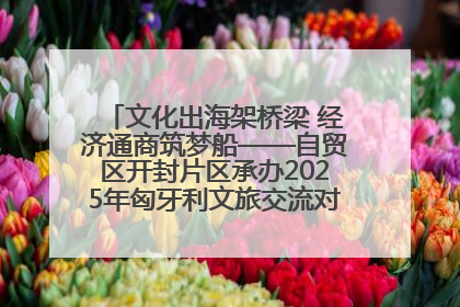 文化出海架桥梁 经济通商筑梦船——自贸区开封片区承办2025年匈牙利文旅交流对接活动专场