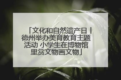 文化和自然遗产日丨德州举办美育教育主题活动 小学生在博物馆里赏文物画文物