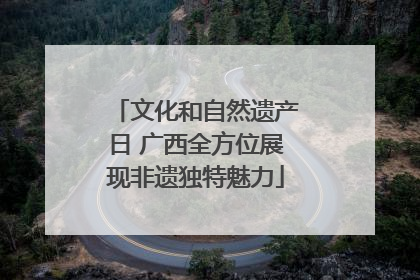 文化和自然遗产日 广西全方位展现非遗独特魅力