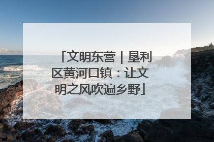 文明东营｜垦利区黄河口镇：让文明之风吹遍乡野
