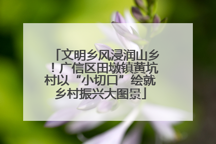 文明乡风浸润山乡！广信区田墩镇黄坑村以“小切口”绘就乡村振兴大图景