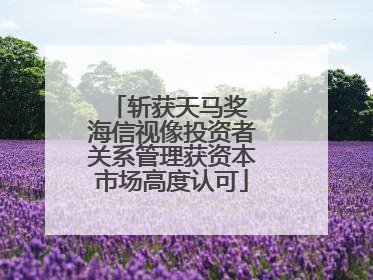 斩获天马奖 海信视像投资者关系管理获资本市场高度认可