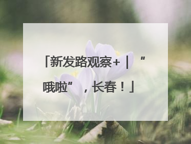 新发路观察+｜“哦啦”，长春！