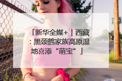 新华全媒+｜西藏：黑颈鹤家族高原湿地喜添“萌宝”
