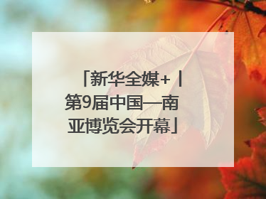 新华全媒+丨第9届中国—南亚博览会开幕