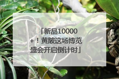 新品10000+！黄陂这场博览盛会开启倒计时