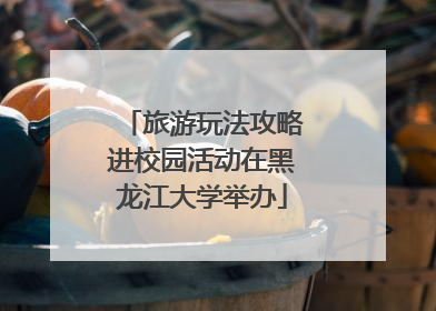 旅游玩法攻略进校园活动在黑龙江大学举办