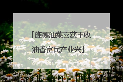 旌德油菜喜获丰收 油香富民产业兴