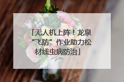 无人机上阵！龙泉“飞防”作业助力松材线虫病防治