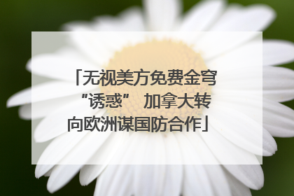 无视美方免费金穹“诱惑” 加拿大转向欧洲谋国防合作