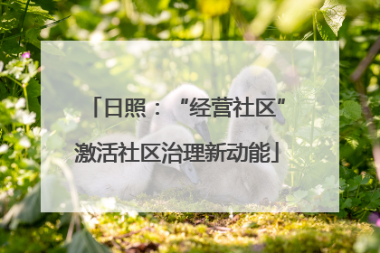 日照：“经营社区”激活社区治理新动能