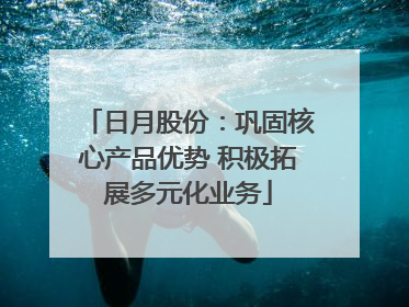 日月股份：巩固核心产品优势 积极拓展多元化业务