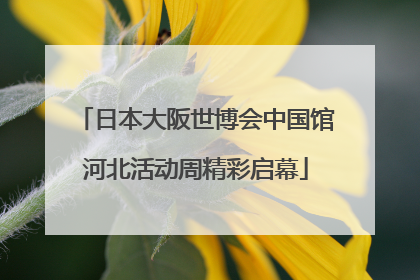 日本大阪世博会中国馆河北活动周精彩启幕