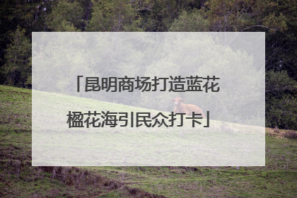 昆明商场打造蓝花楹花海引民众打卡