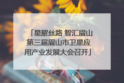 星耀丝路 智汇眉山 第三届眉山市卫星应用产业发展大会召开
