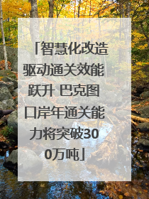 智慧化改造驱动通关效能跃升 巴克图口岸年通关能力将突破300万吨
