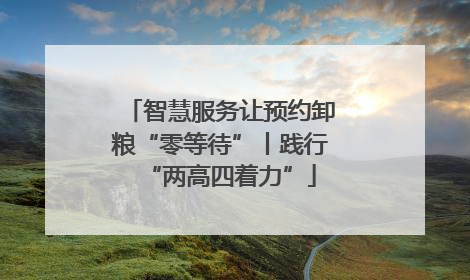 智慧服务让预约卸粮“零等待”丨践行“两高四着力”