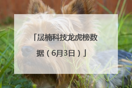 晟楠科技龙虎榜数据（6月3日）