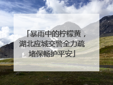 暴雨中的柠檬黄，湖北应城交警全力疏堵保畅护平安