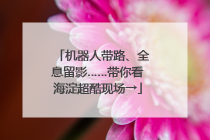 机器人带路、全息留影……带你看海淀超酷现场→