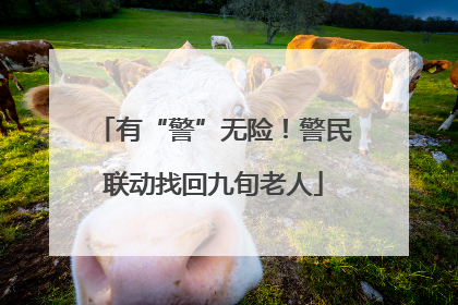 有“警”无险！警民联动找回九旬老人
