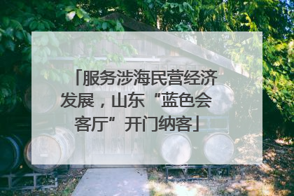 服务涉海民营经济发展，山东“蓝色会客厅”开门纳客
