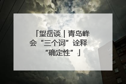 望岳谈｜青岛峰会“三个词”诠释“确定性”