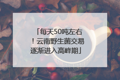 每天50吨左右！云南野生菌交易逐渐进入高峰期
