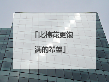 比棉花更饱满的希望