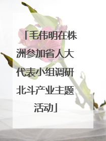 毛伟明在株洲参加省人大代表小组调研北斗产业主题活动