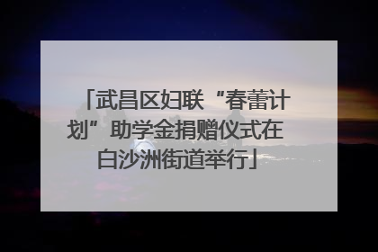 武昌区妇联“春蕾计划”助学金捐赠仪式在白沙洲街道举行