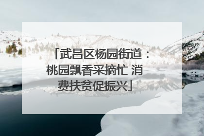 武昌区杨园街道：桃园飘香采摘忙 消费扶贫促振兴