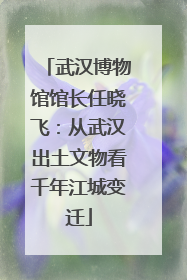 武汉博物馆馆长任晓飞：从武汉出土文物看千年江城变迁