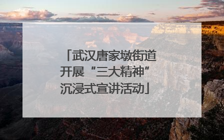 武汉唐家墩街道开展“三大精神”沉浸式宣讲活动