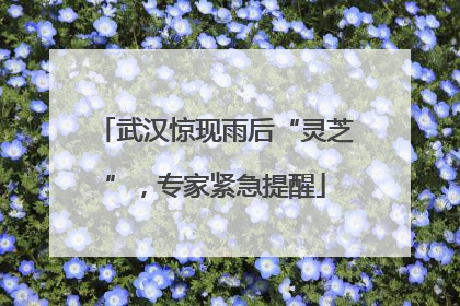 武汉惊现雨后“灵芝”，专家紧急提醒