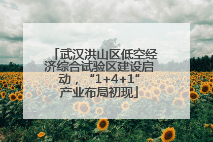 武汉洪山区低空经济综合试验区建设启动，“1+4+1”产业布局初现