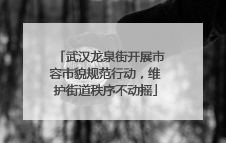 武汉龙泉街开展市容市貌规范行动，维护街道秩序不动摇