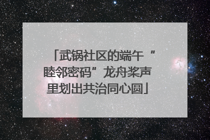 武锅社区的端午“睦邻密码”龙舟桨声里划出共治同心圆