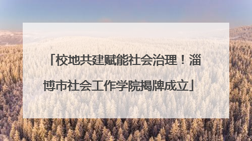 校地共建赋能社会治理！淄博市社会工作学院揭牌成立