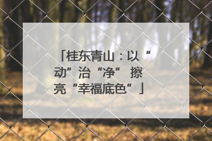 桂东青山：以“动”治“净” 擦亮“幸福底色”