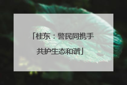桂东：警民同携手 共护生态和谐