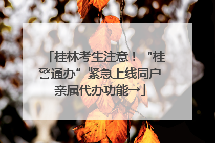 桂林考生注意！“桂警通办”紧急上线同户亲属代办功能→