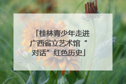 桂林青少年走进广西省立艺术馆“对话”红色历史