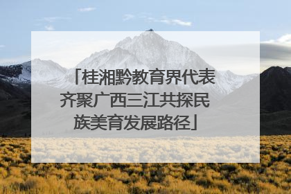 桂湘黔教育界代表齐聚广西三江共探民族美育发展路径