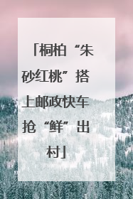 桐柏“朱砂红桃”搭上邮政快车抢“鲜”出村