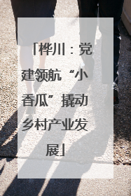 桦川：党建领航“小香瓜”撬动乡村产业发展