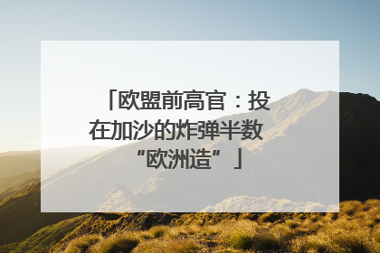 欧盟前高官：投在加沙的炸弹半数“欧洲造”